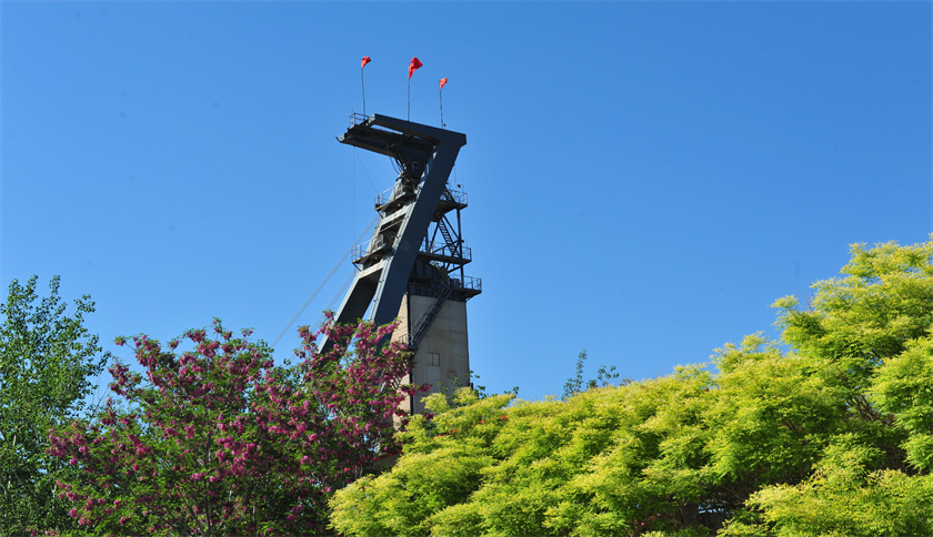 天游ty8_魅力新城