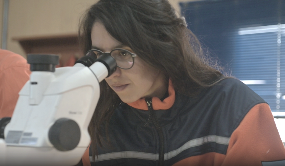 天游ty8·(中国区)_天游线路检测中心