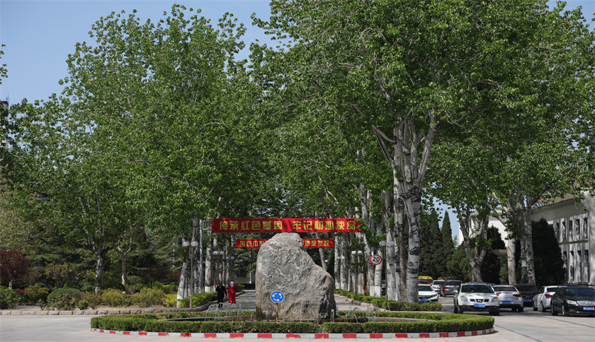 天游ty8_魅力新城